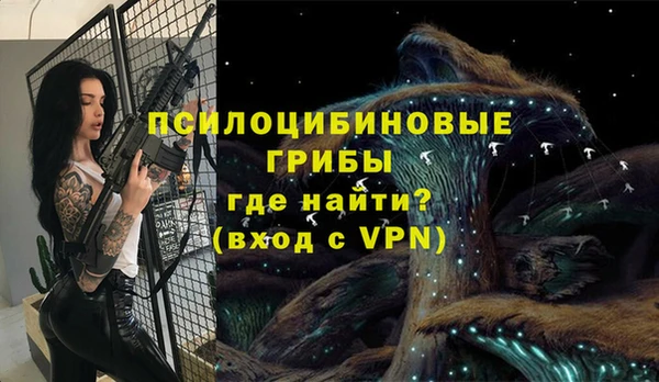 стафф Зеленодольск