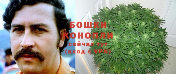 стафф Зеленодольск