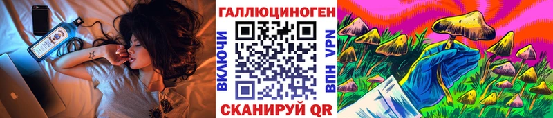 даркнет какой сайт Новосибирск Галлюциногенные грибы Cubensis
