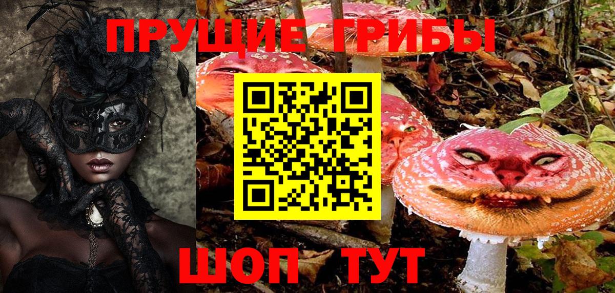 Новосибирск  Псилоцибиновые грибы мухоморы  купить  сайты  Псилоцибиновые грибы Psilocybine cubensis  Вход с VPN 